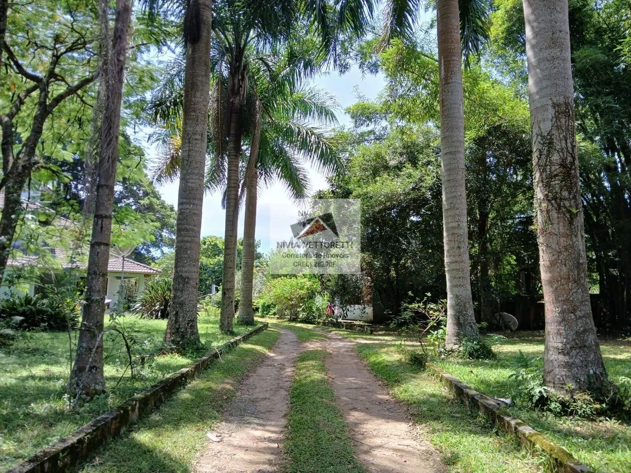 Sítio com 8.800 metros em Ratones! - Foto 2