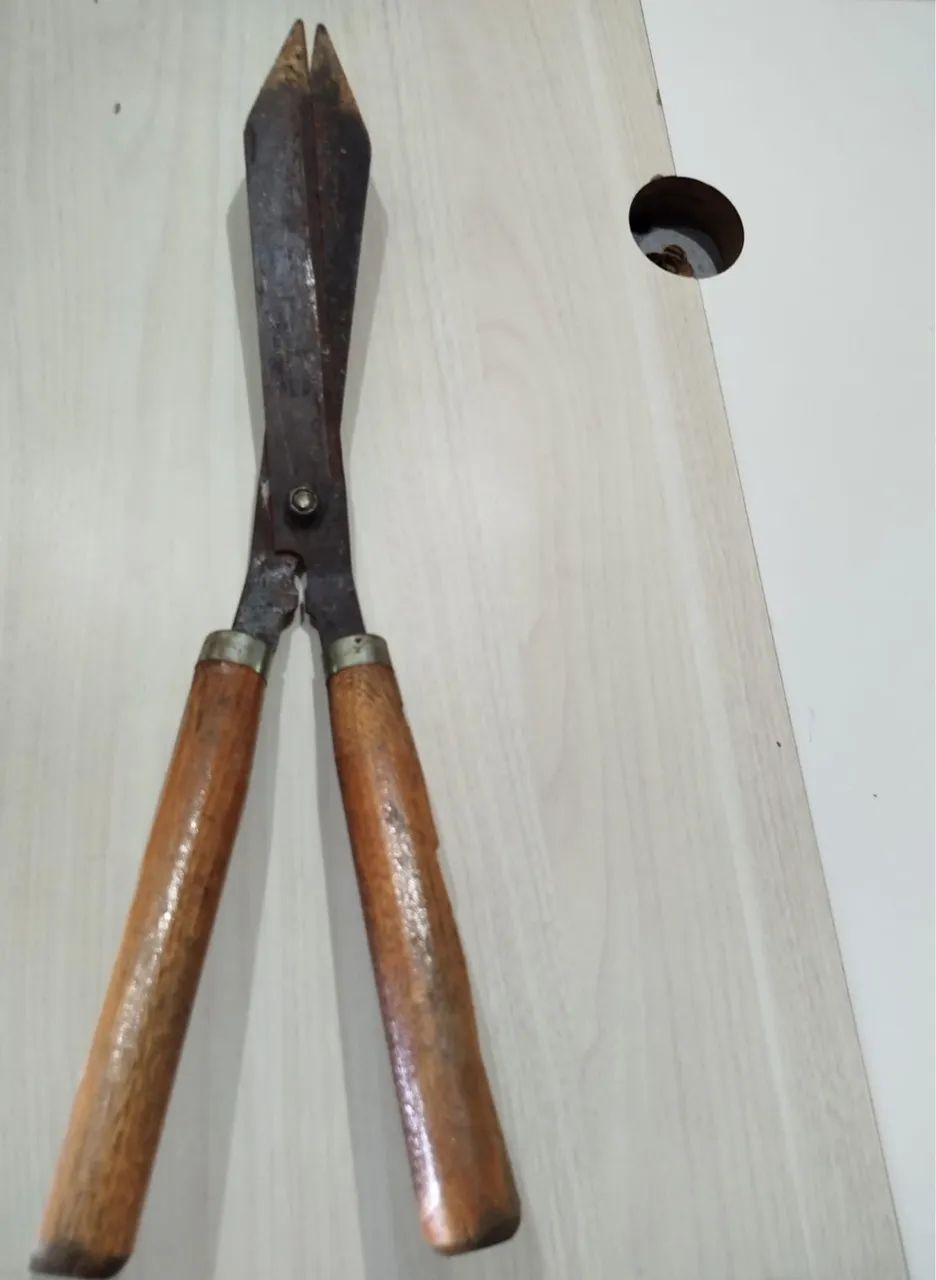 Tesoura de poda 
