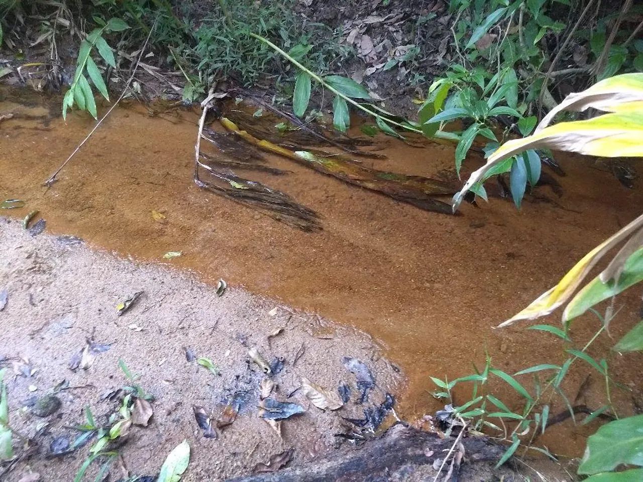 FAZENDA COM 50HEC PRA CAFE OU HF, HA 35KM DE ARAXA - Foto 4