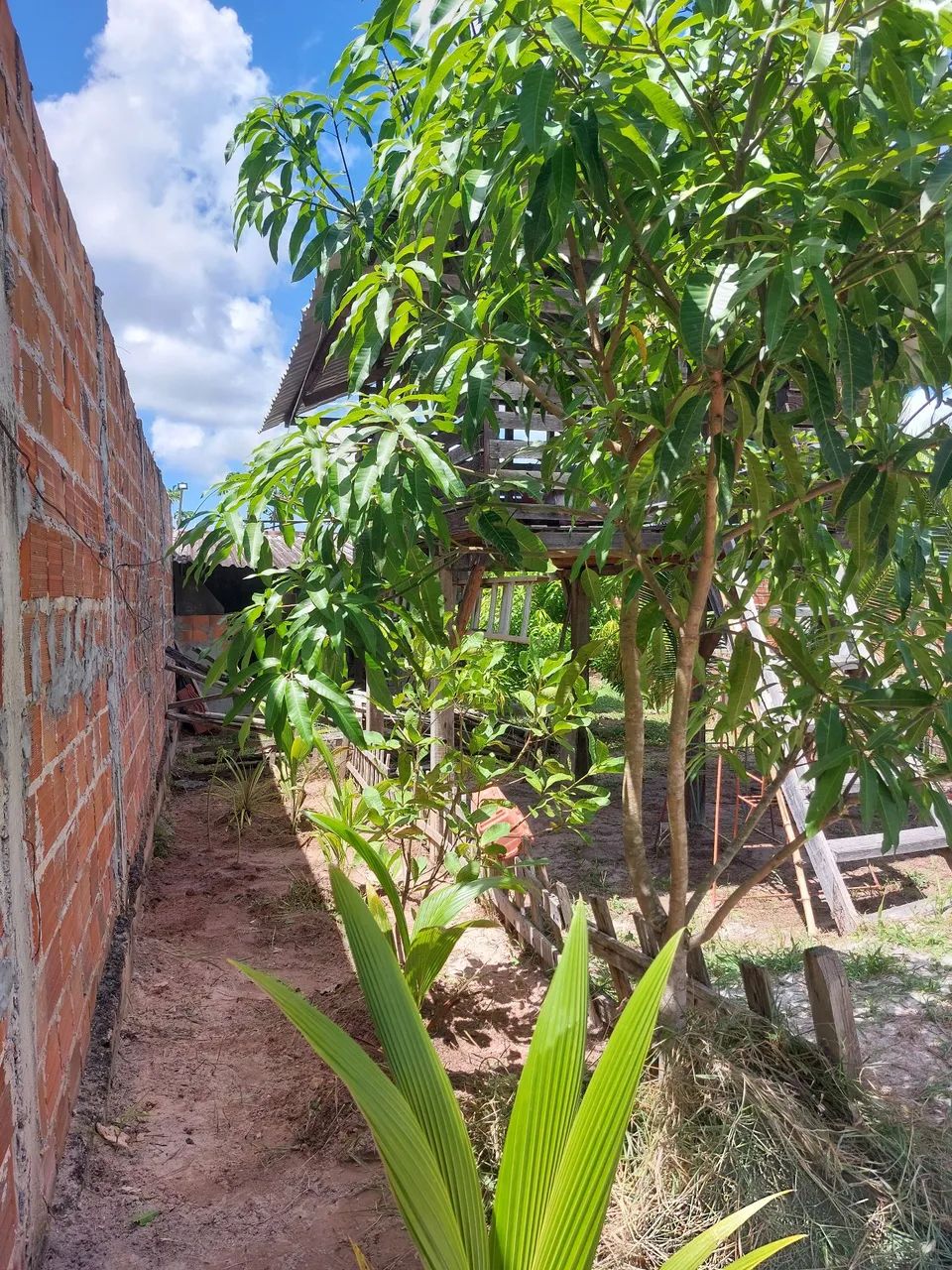 Terreno com área construída  - Foto 2