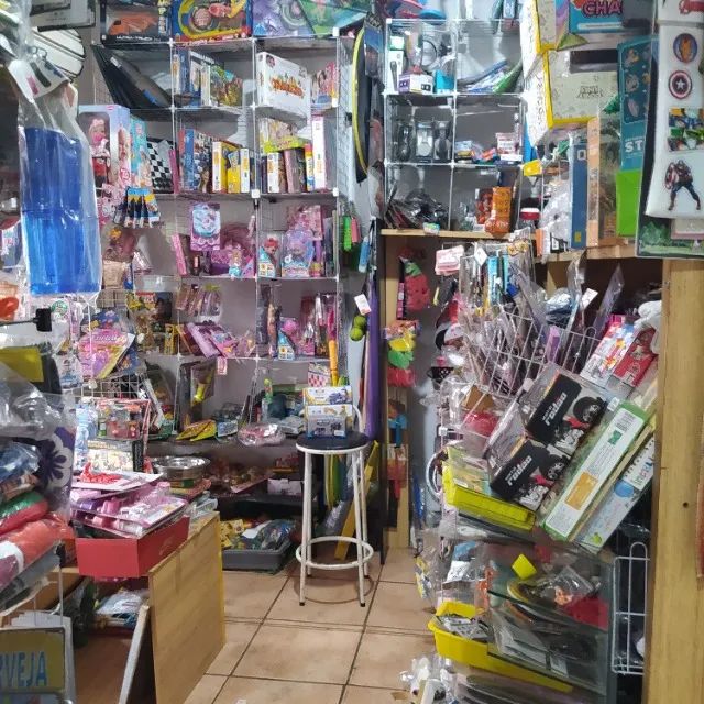Pet shop e multicoisas loja a venda no Santo Amaro - Foto 3