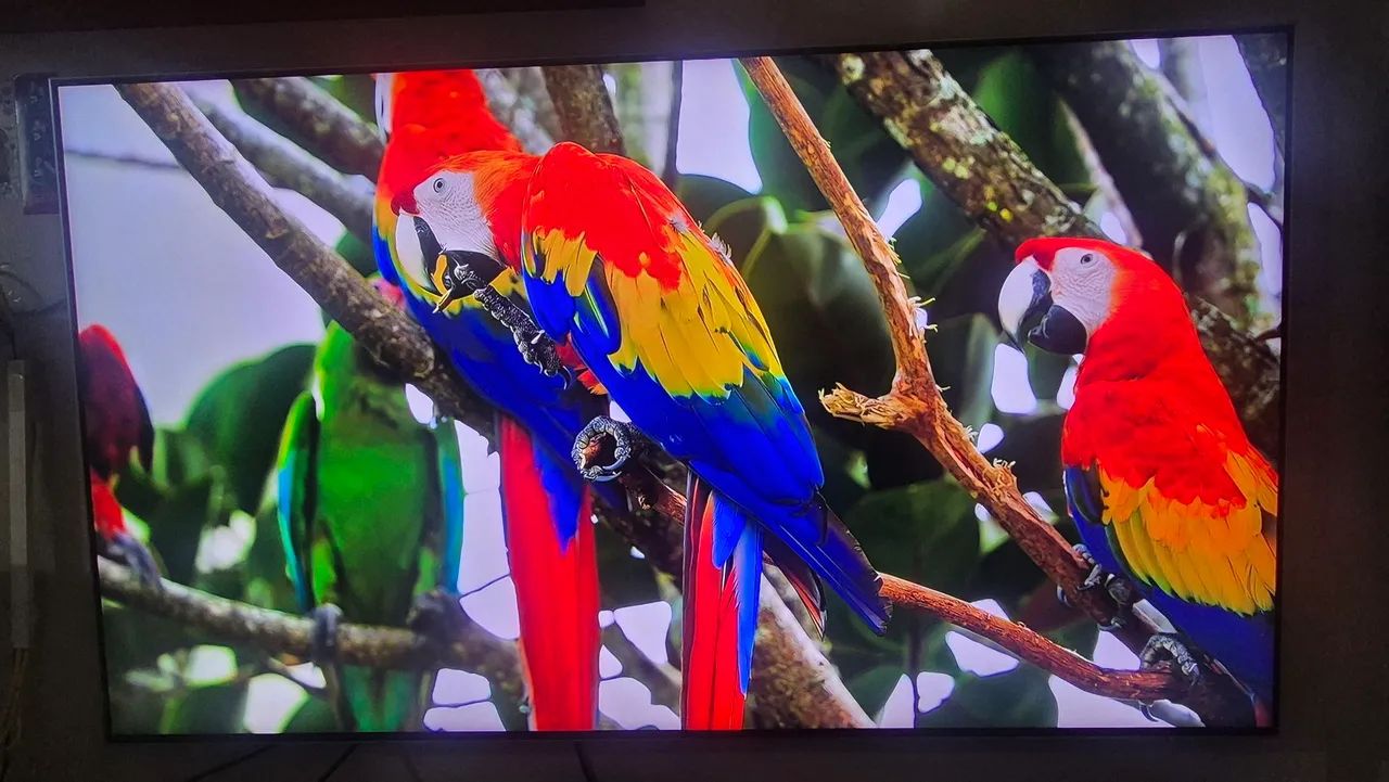 TV SAMSUNG QLED 55  - Foto 2