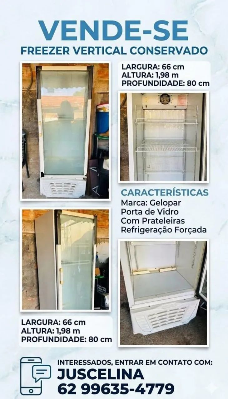 Freezer vertical 198x80x66