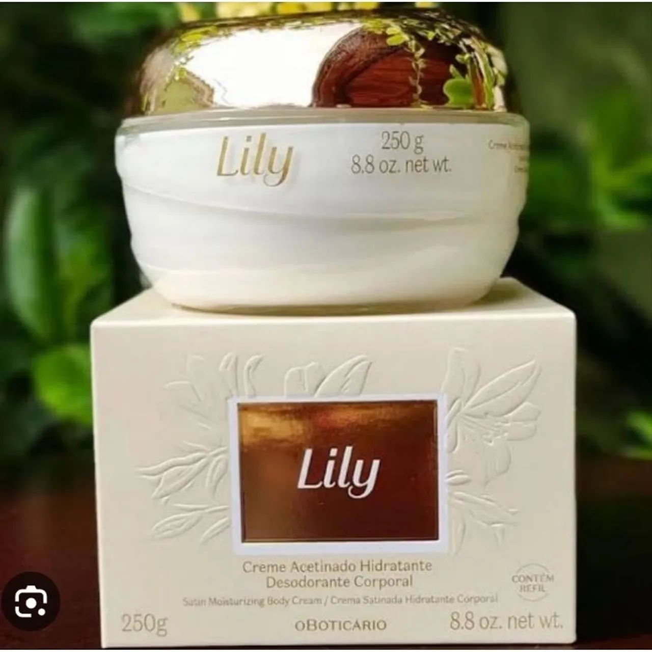 Creme Lily