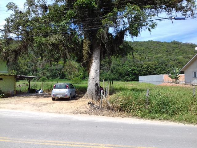 Terreno em São Pedro de Alcântara - Foto 4