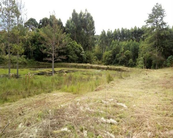 Sítio - Foto 18