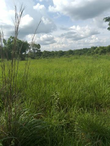 Faz. 12 alqueires à 30 km de Imperatriz- porteira fechada * - Foto 5