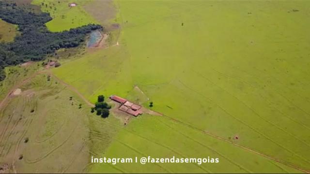 Oportunidade! Fazenda com 3.475 hectares - Foto 6