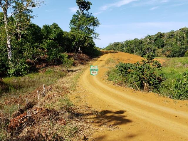 Ubaitaba. Fazenda com 140 Hectares. Mista de cacau e gado - Foto 16