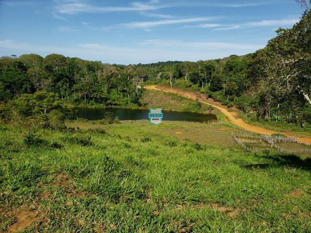 Ubaitaba. Fazenda com 140 Hectares. Mista de cacau e gado - Foto 2