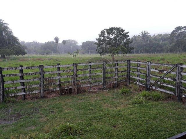 Chacara 40 hectares em mimoso - Foto 3