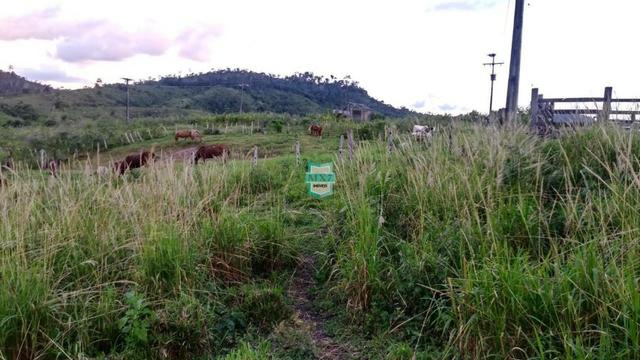 Itagibá. Fazenda pecuária de 375 Hectares com toda infraestrutura. - Foto 18
