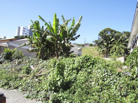 Terreno - Foto 3