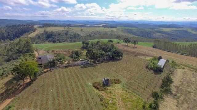 Fazenda (185 alqueires) - Cerro Azul - Foto 5