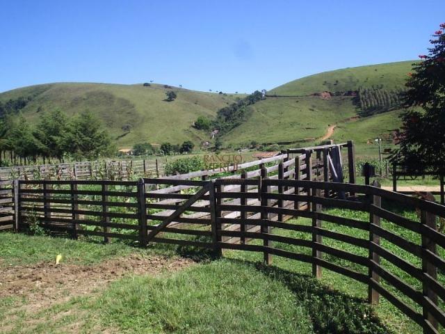 Fazenda rica em água ótimo para Gado - Cód 1505 - Foto 8