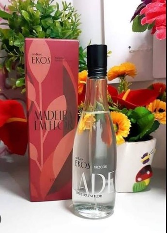 Ekos madeira em flor natura | +26 anúncios na OLX Brasil