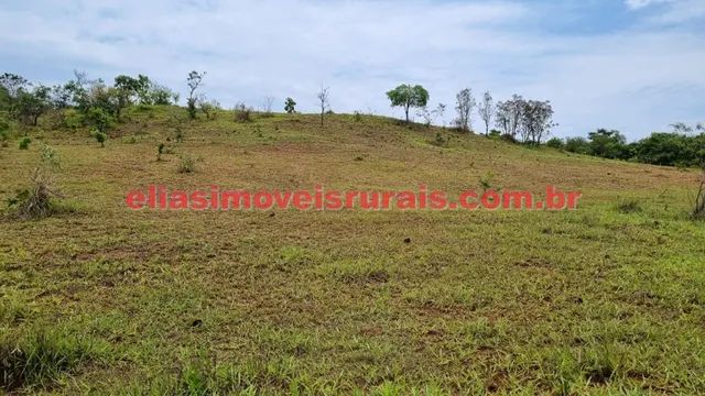 Sítio 5,9 alqueires - Próximo Trevão - Foto 4