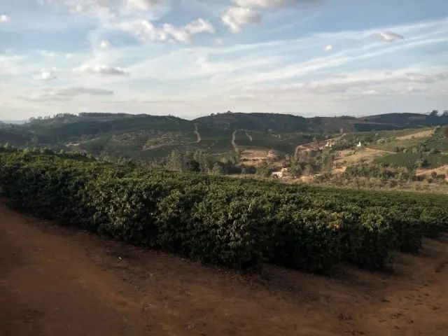 fazenda com 200 mil pés de cafe em Minas - Parcelo