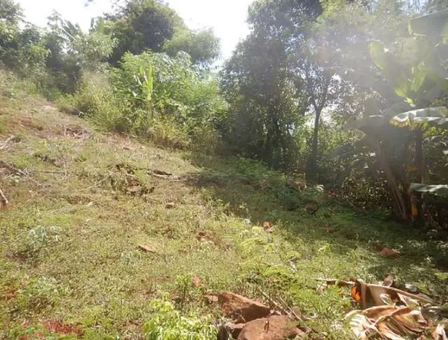 Venda dos lotes da (AABB) Roncador (PR) - Foto 3