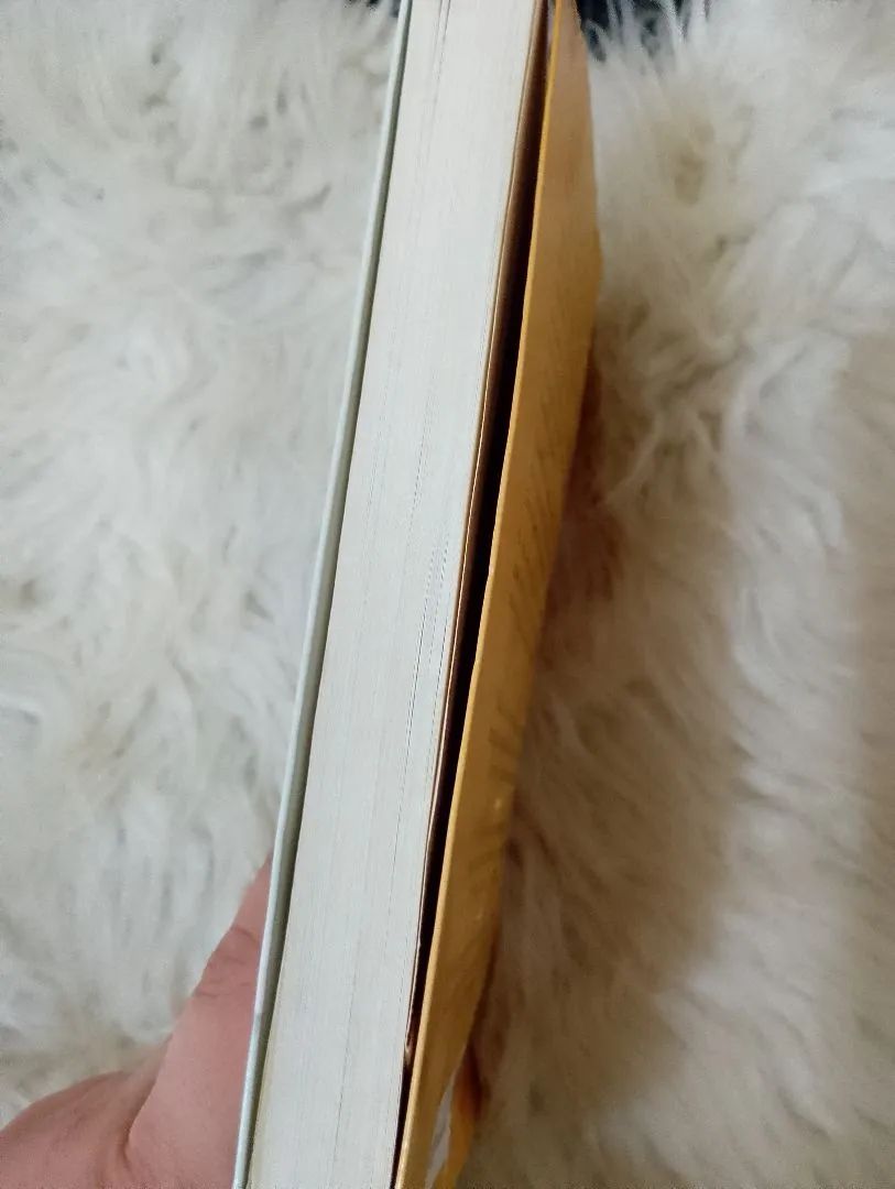 Livro Morri para Viver - Andressa Urach DESAPEGO  - Foto 3