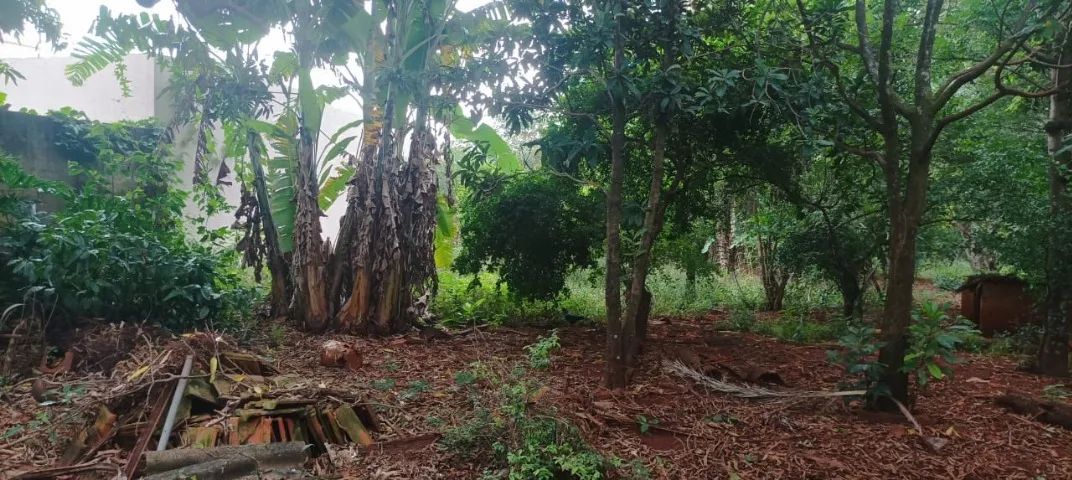 Chácara Lote Estrela Dalva  Próximo Av. Goiás - Foto 3