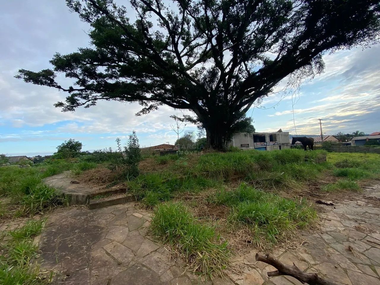 Terreno para locação no bairro Vila Augusta em Porto Alegre. - Foto 5