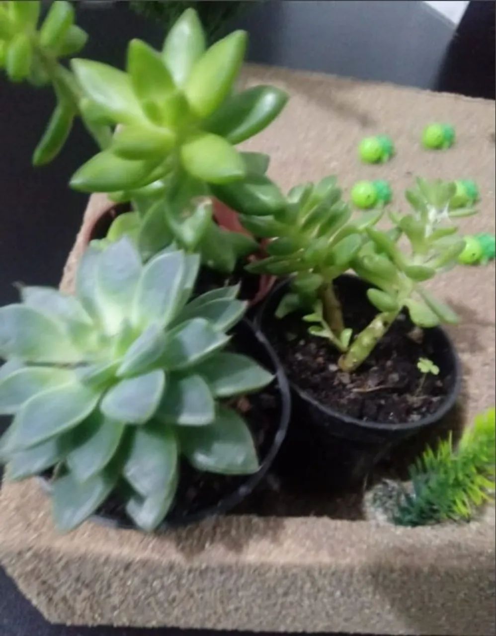 DECORAÇÃO ARTESANAL DE ISOPOR PARA PEQUENAS PLANTAS - Foto 4