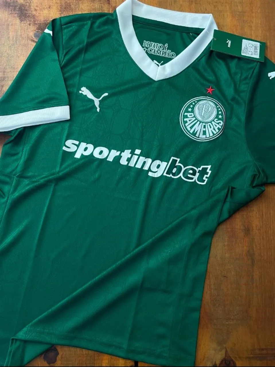 Camisa Palmeiras 2025 - Entrego todo Brasil