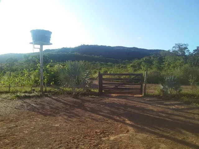 Foto - Arinos - 