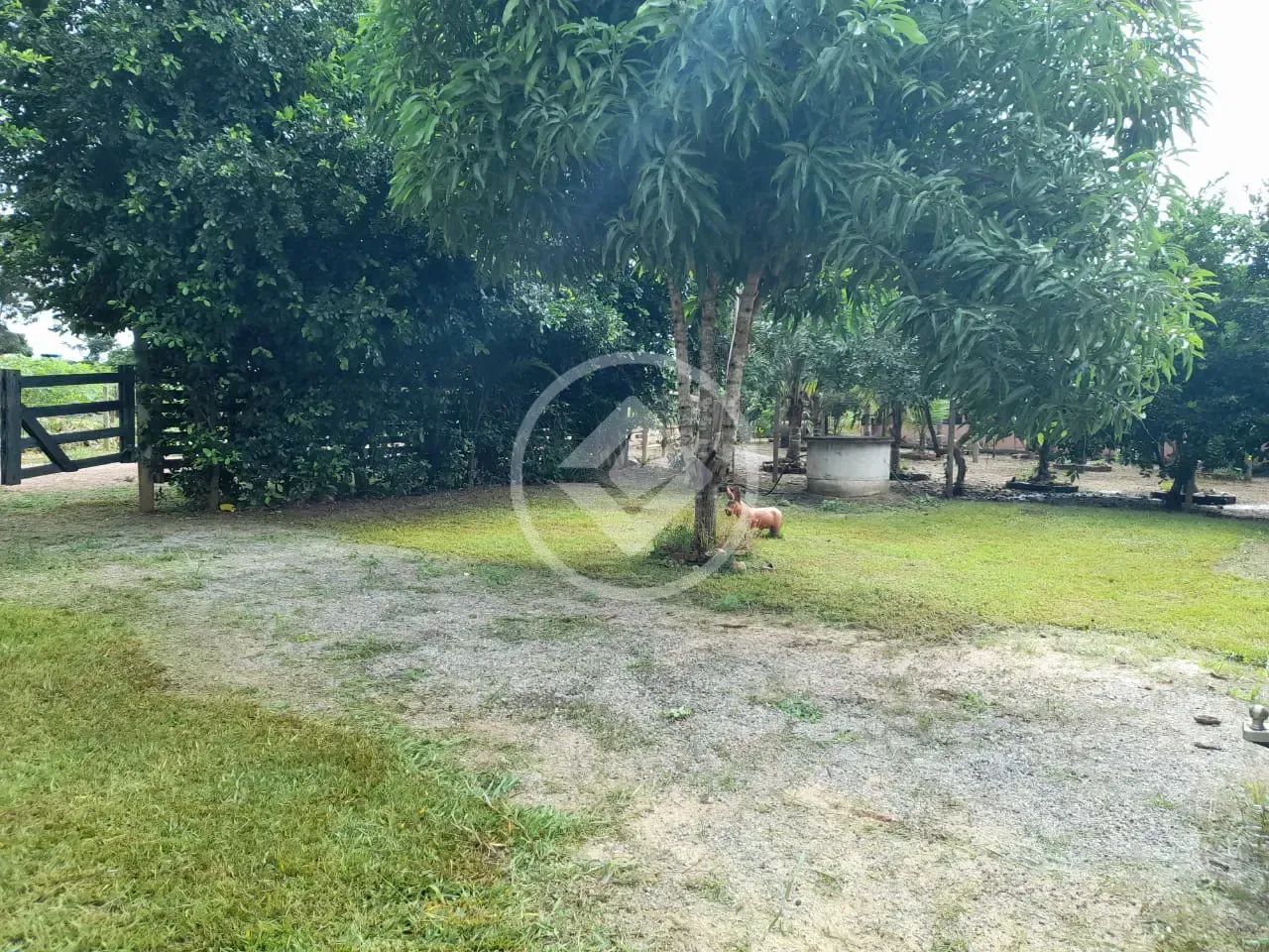 Chácara em ITORAI na beira do Rio!!! codigo: 87247 - Foto 4