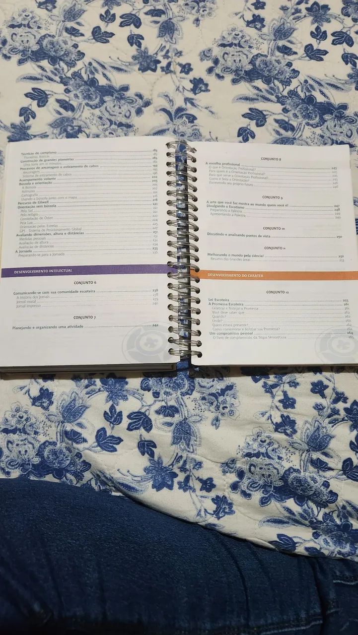 Guia Desafio Sênior  - Foto 4