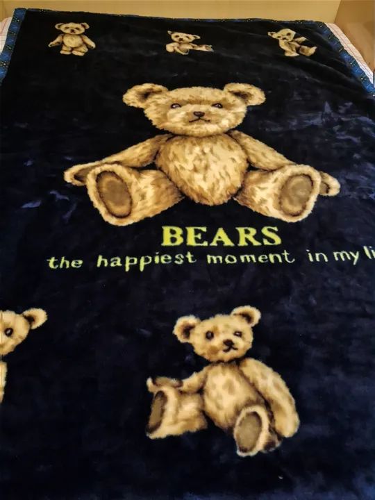 Cobertor Pelúcia Ursinhos - Novo