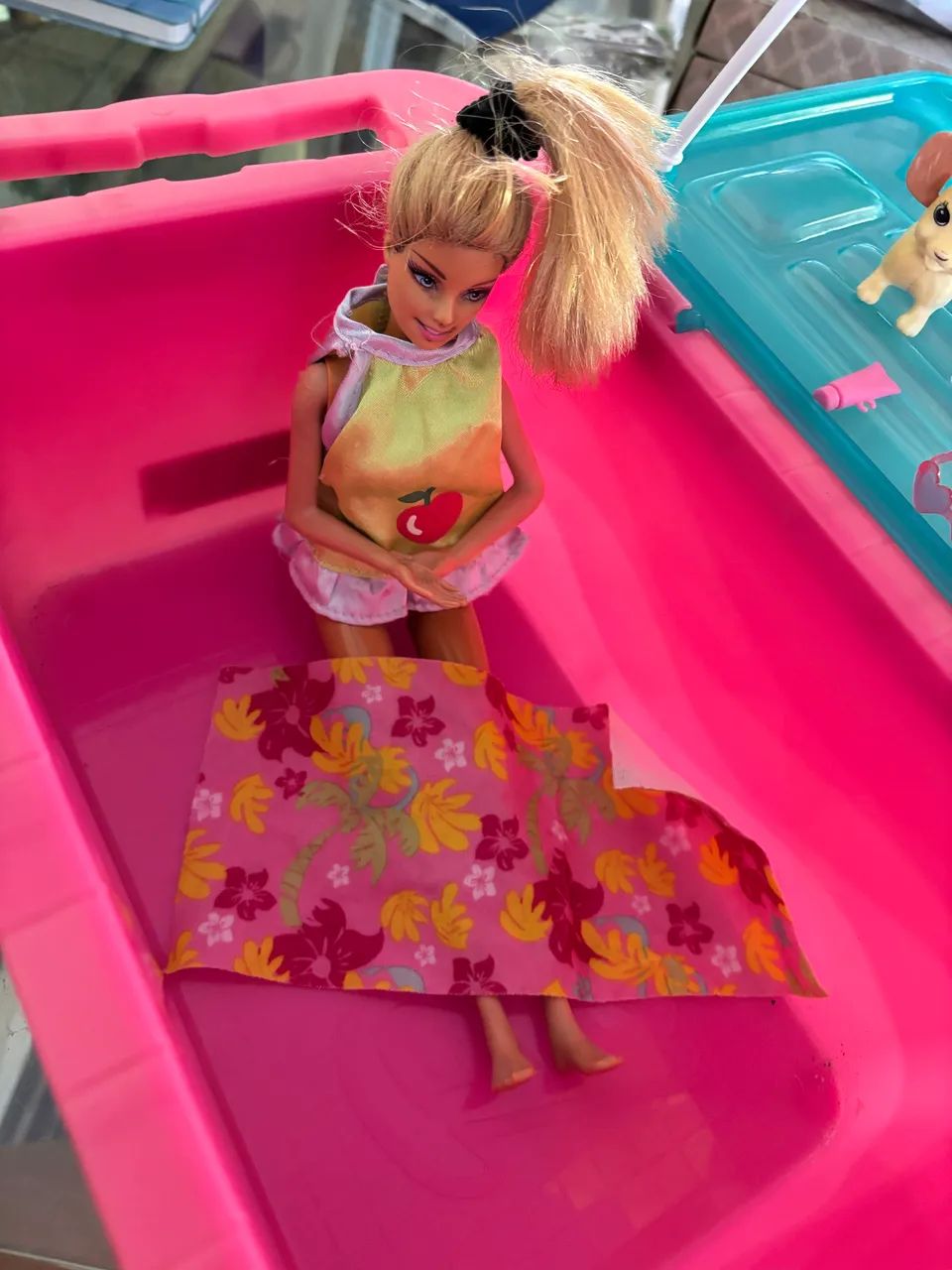 Piscina da Barbie - Foto 2