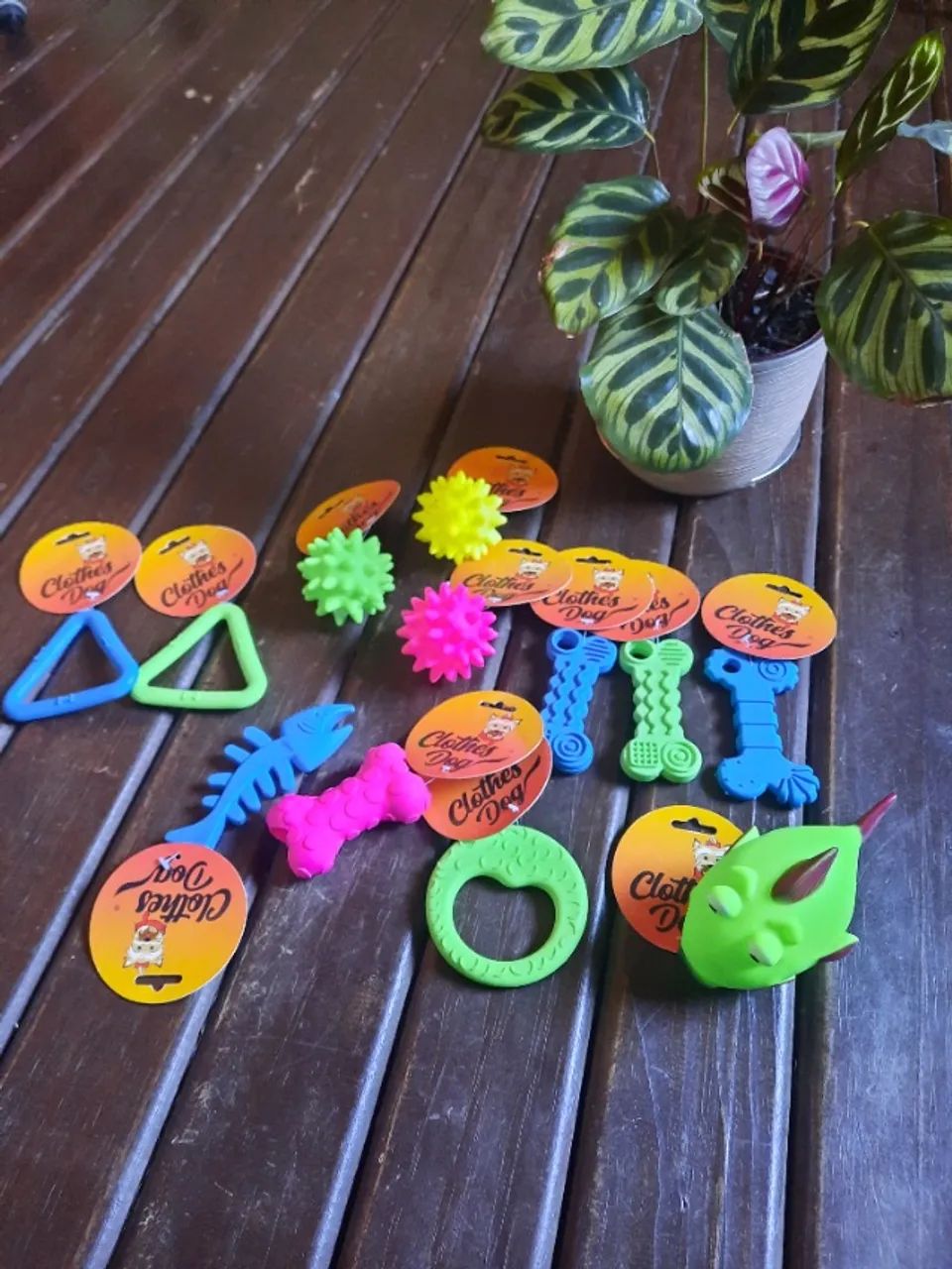 Kit de acessorios para pet shop - Foto 4