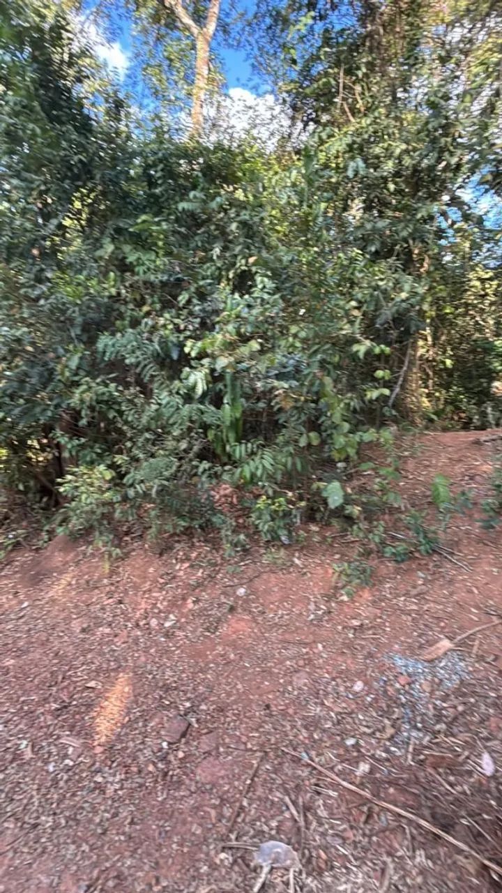 CHÁCARA EM BRUMADINHO  ESTRADA DE SUZANO!!! - Foto 8