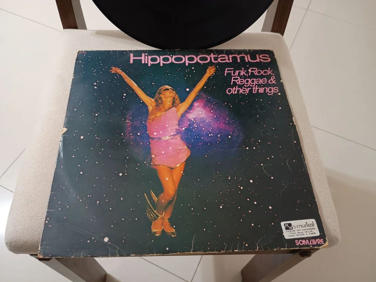 Disco de vinil hippopotamus  - Foto 5