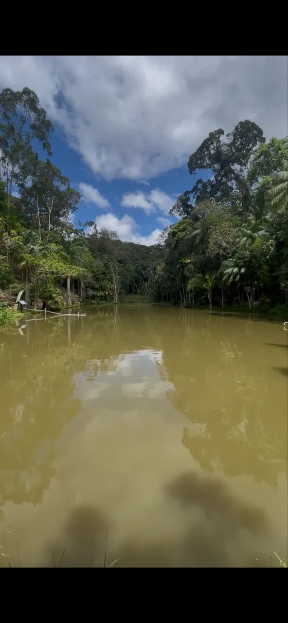 Vd lindo sítio em Santa Teresa