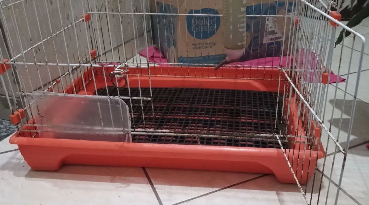 Gaiola para porquinhos da índia. - Foto 4