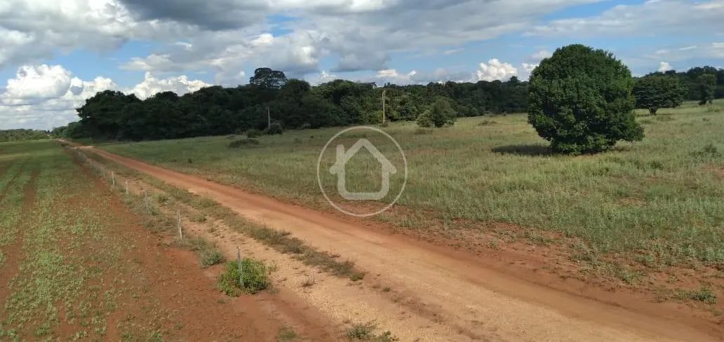 FAZENDA 508HÁ, RIBEIRÃO CASCALHEIRA - Foto 3