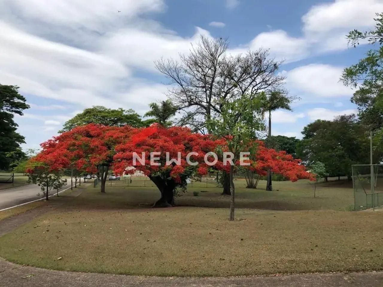 Lote em condomínio em Rua Clemente Berto da Silva - Jardim Figueira - Indaiatuba/SP - Foto 5
