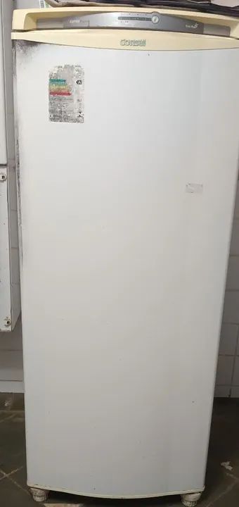 Geladeira Electrolux 300 litros