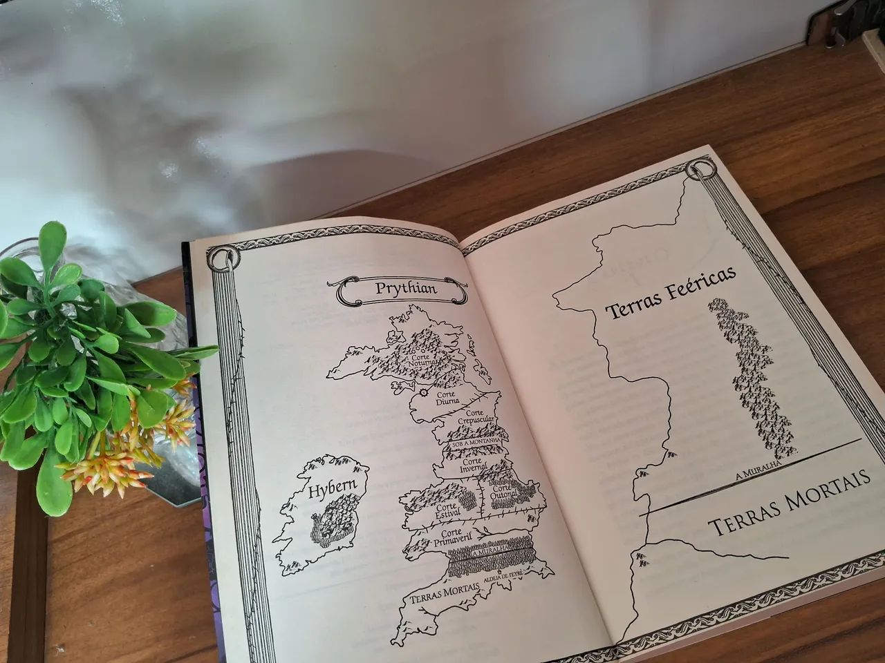 Livro Corte de Espinhos e Rosas (Edição de 2017) - Foto 4