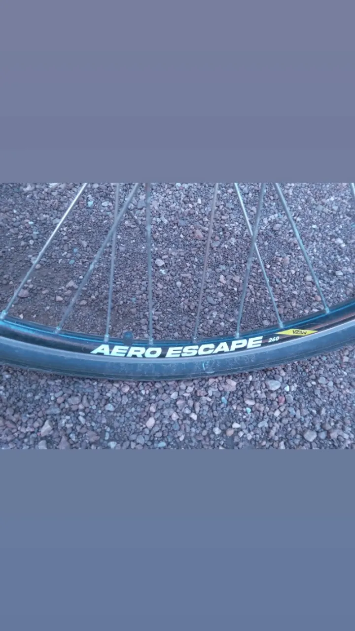 Bicicleta cargueira
