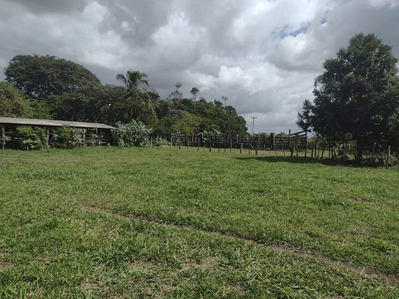 Excelente Fazenda legalizada, para venda em Quissamã - Rio de Janeiro. - Foto 4