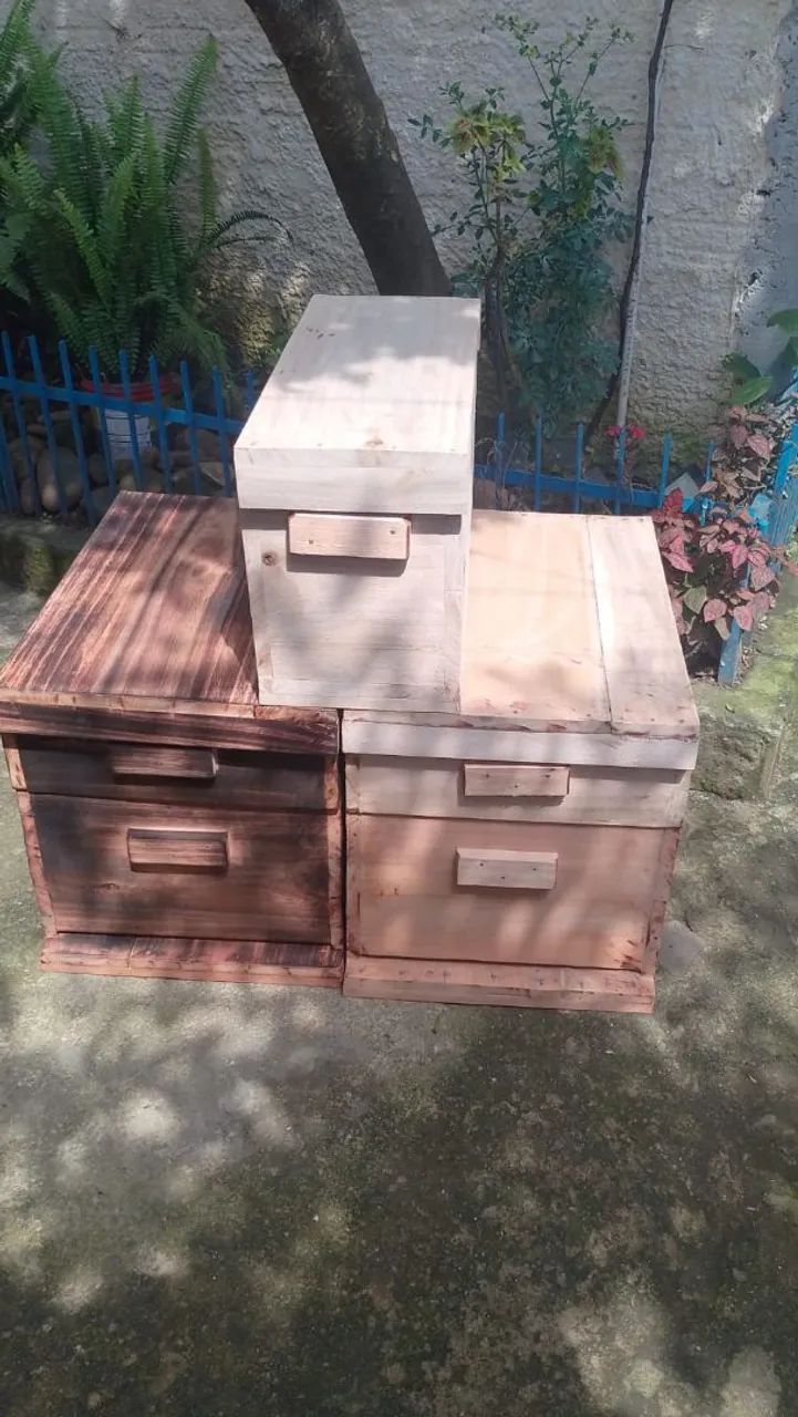 Caixa de abelha completa  - Foto 2