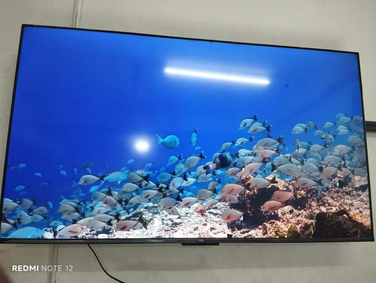 Tv 50 polegadas 