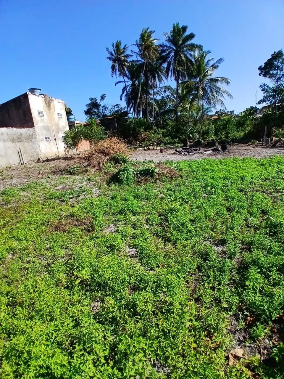 Terreno  - Foto 3