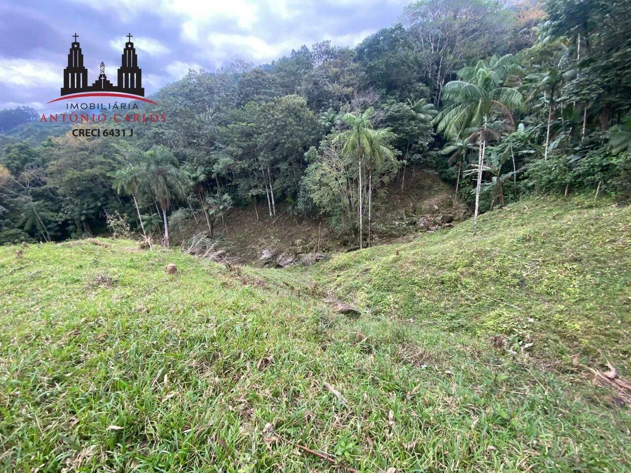 Sítio com 23.000m² à venda em Antônio Carlos/SC - Foto 4