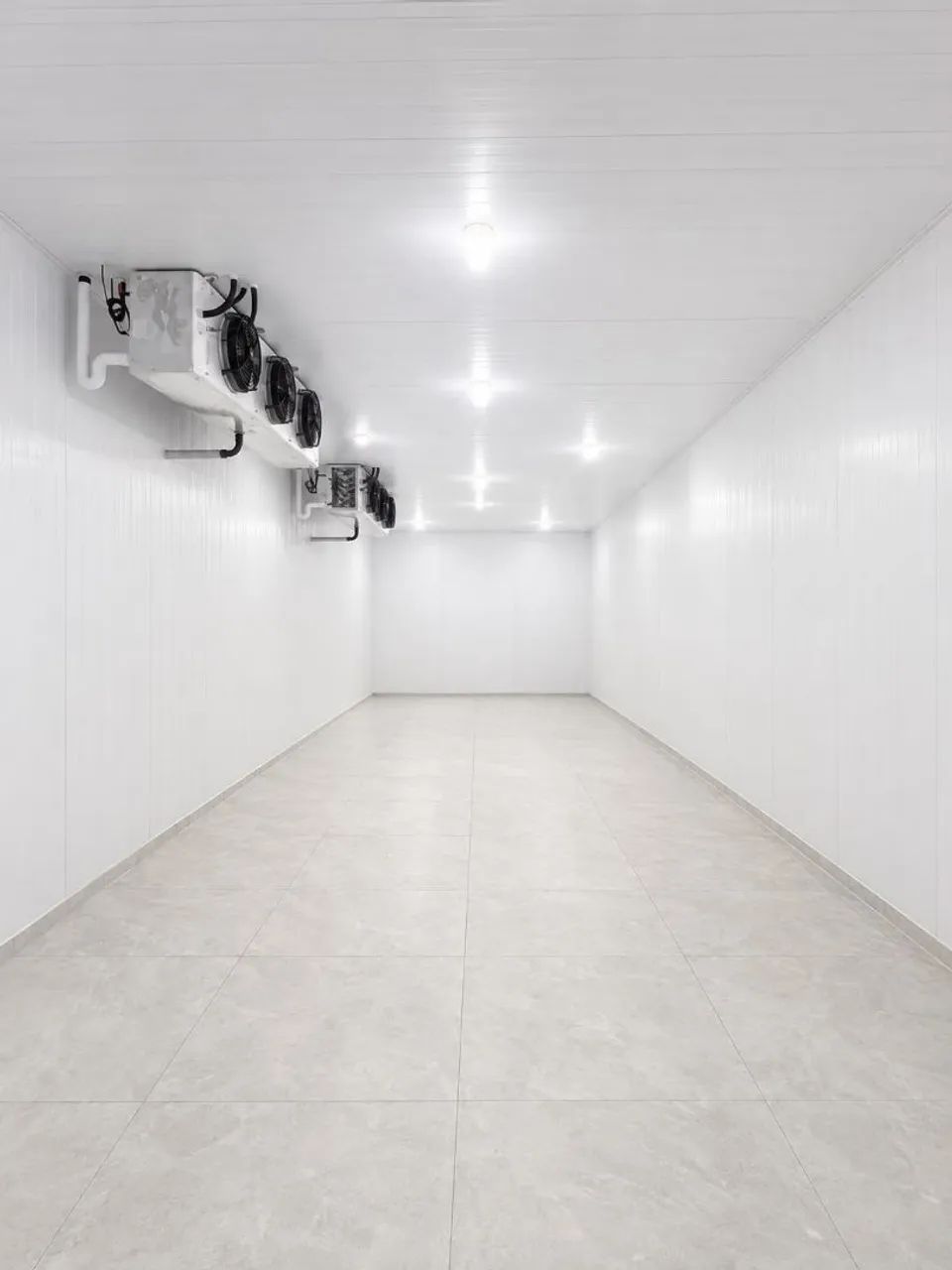 Câmara fria / frigorífica / galpão 