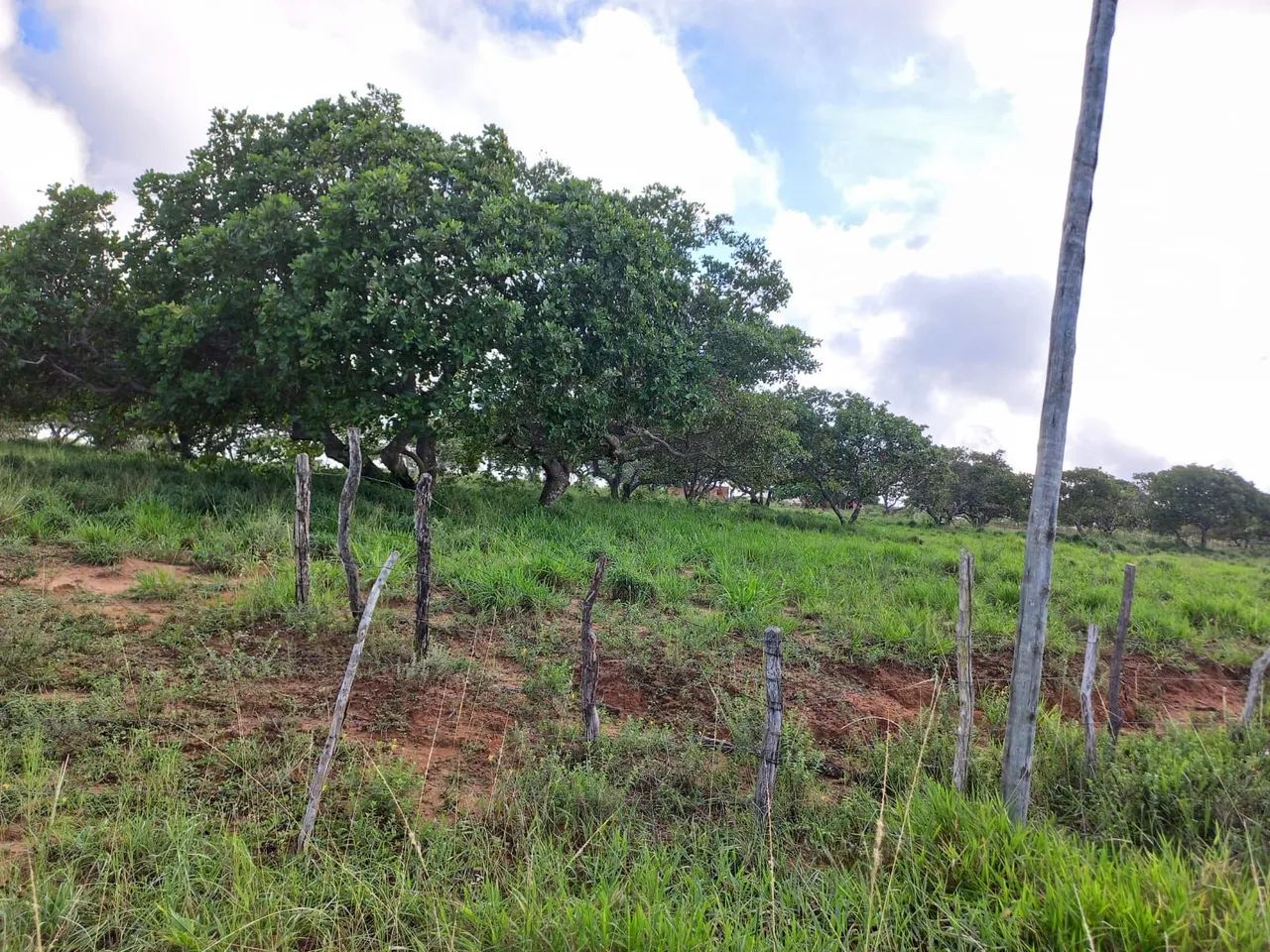Terra à Venda - Foto 3